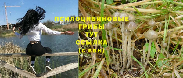 Альфа ПВП Арсеньев