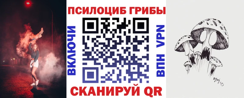 мега маркетплейс  как найти   Лянтор  Галлюциногенные грибы Psilocybine cubensis 